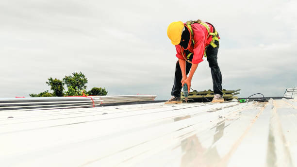 Best Roof Coating and Sealing  in Traverse City, MI