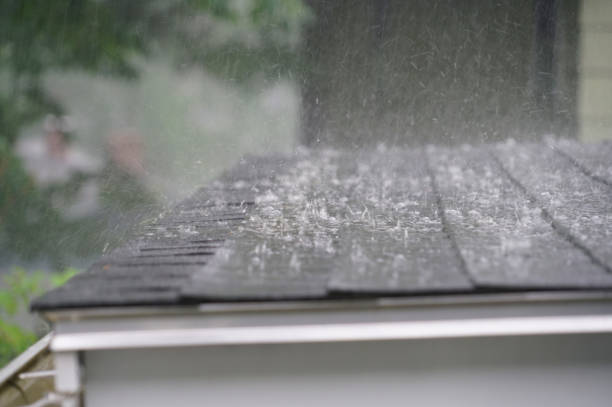 Best Roof Leak Repair  in Traverse City, MI