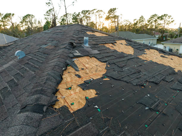 Best Asphalt Shingle Roofing  in Traverse City, MI