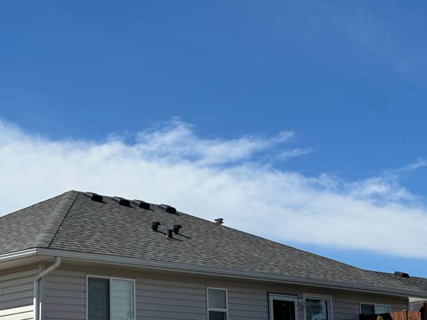 Best Roof Installation  in Traverse City, MI